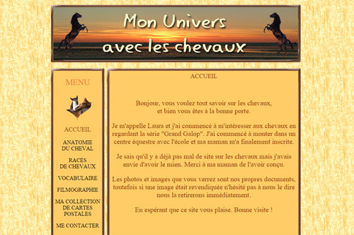 exemple de site que j'ai réalisé