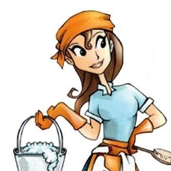 Tempo Cleaning Services