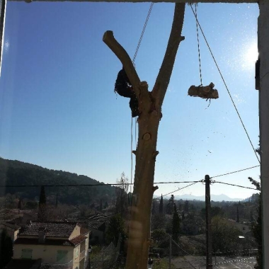 Vertical Work Elagage