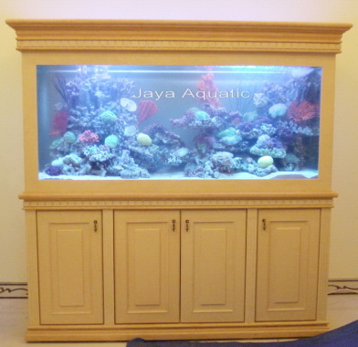 Aquarium air laut, ukuran 2 meter