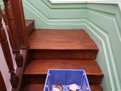 Restauration d'un escalier ancien . Suite a un chantier ou des artisan n'avais pas protégé les parquets et escaliers