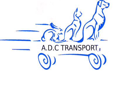 https://adctransport.jimdo.com/contacts/