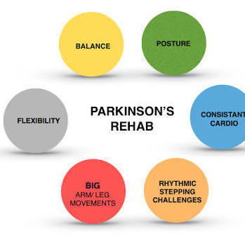 Physiotherapy & Rehabilitation 