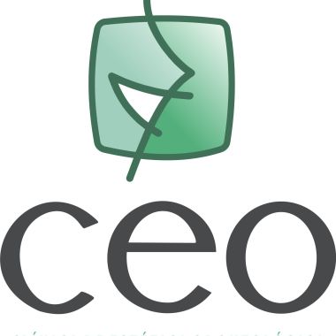 Ceo Clínica De Estética Odontológica