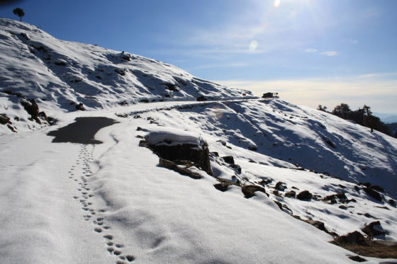Chopta
