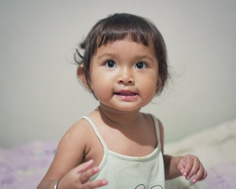Bayi, Batita, Balita, Keluarga