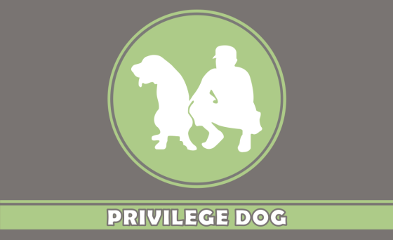 fondoorivilegedog.png