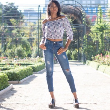Modelo Profesional