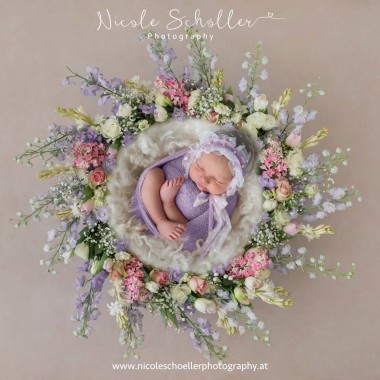 Nicole Schöller Photography
