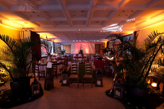 Mise en lumière salle l'hermancia Chens-sur-léman, soirée DJ
