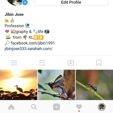 Jibin Jose