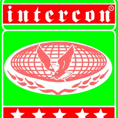 Intercon Contadores & Consultores Ltda