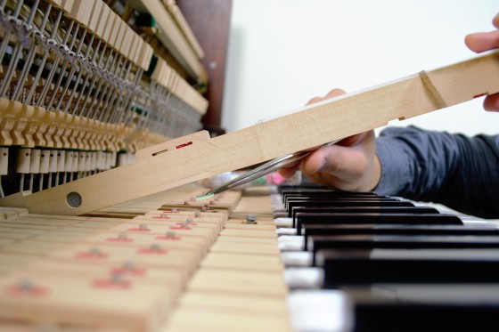 RÉGLAGE DU MÉCANISME

> Conseillé tous les 5 à 10 ans, le réglage de la mécanique permettra de restituer rapidité et puissance à votre piano afin d'améliorer la finesse du toucher (nuances et répétition) en fonction de cotes précises. Bien entendu, le type de réglage pourra être personnalisé en fonction des demandes du pianiste.

Exemple: ponçage des têtes de marteaux, réglage de la chasse, bout de touche, dressage du clavier, enfoncement, attrapée, échappement, rechute, départ des étouffoirs...