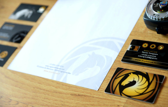 Charte graphique AV Photos / photographe hippique