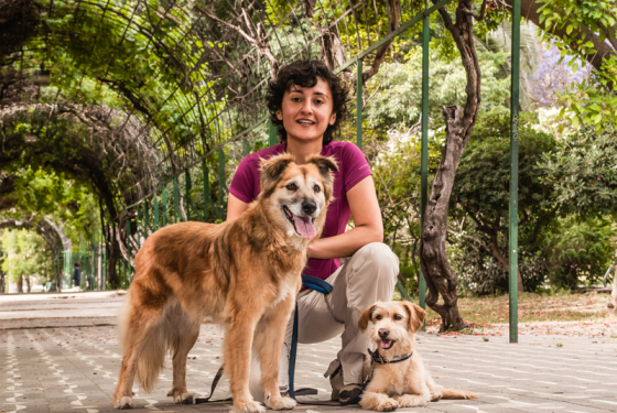 Educación Canina