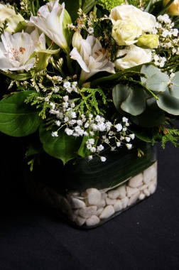 Foto detalle catálogo floristería Araucaria