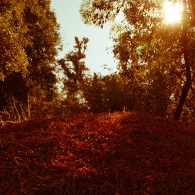 Fotografía Asterion