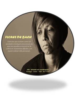 FLORES DE BACH