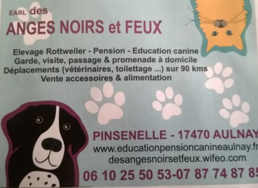 Taxi transport animalier 24h/24h 7jours sur 7 jours Urgence nuit 0786078686 Forfait pour petite distance 1.13 du km transport ou taxi longues distance Nos 3 vehicules (2 scenic et 1 twingo) sont equipes de caisses de transport avec ventilateur Infos 0787748785 Earl des anges noirs 53984030600010 35 rue de la pierre creuse pinsenelle 17470 aulnay