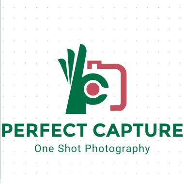 Perfect Capture
