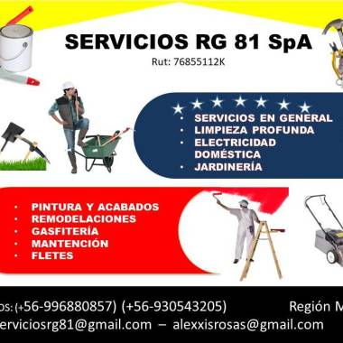 Servicios Rg81 Spa
