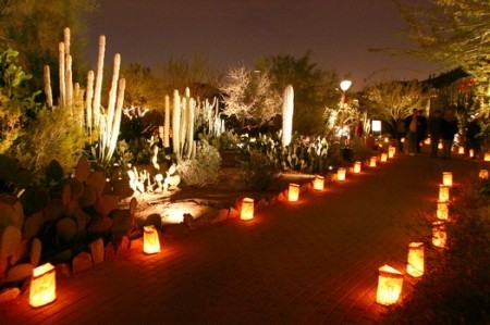 camino de luces 