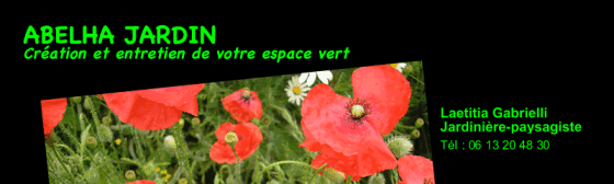 Abelha Jardin