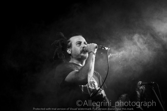 Live Performance