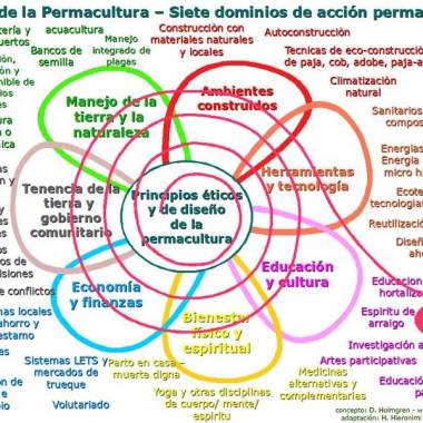 Medico