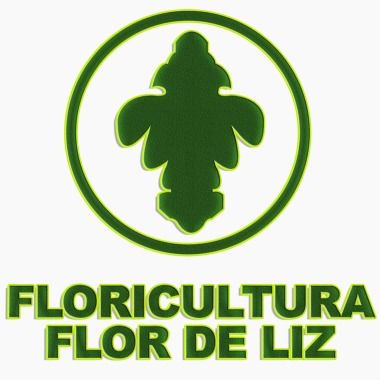 Floricultura Flor De Liz