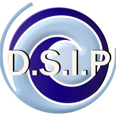 Dsip Informatique