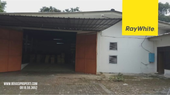 raywhite grandwisata
