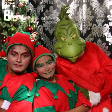 Duendes y Grinch 