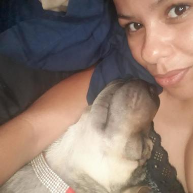 Cuidador De Cães