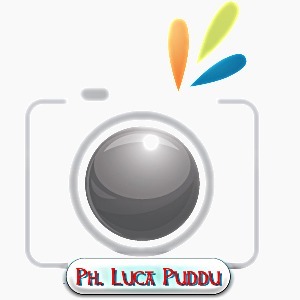 Ph. Luca Puddu
