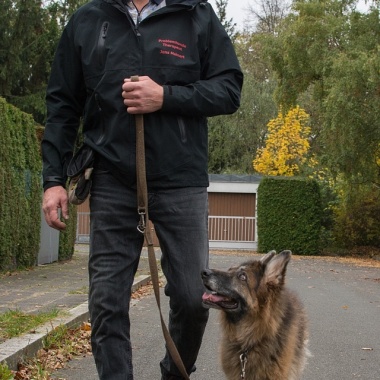 Leinenführigkeit
