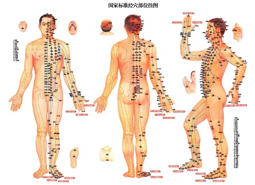 Traditional Chinese Medicine Acupuncture charts