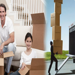 Allied Corporation India Packers And Movers
