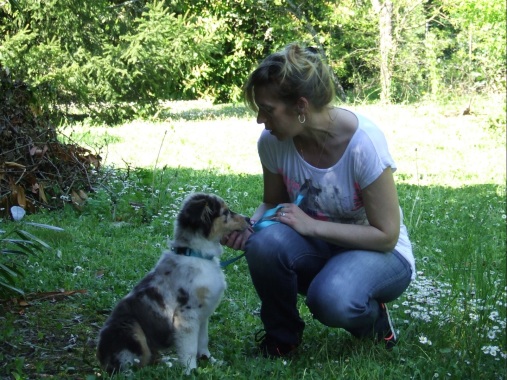 Chiots ou adulte je m'adapte à leur âge, race et caractère