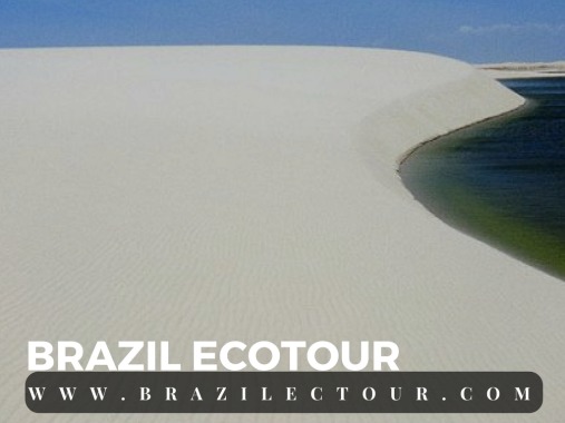 Lencois Maranhenses Brésil 