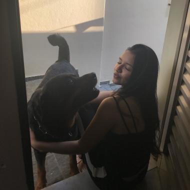 Cuidado E Passeio Para Cães E Gatos