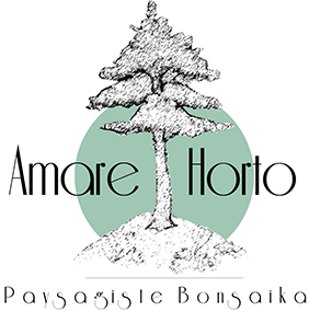 Amare Horto