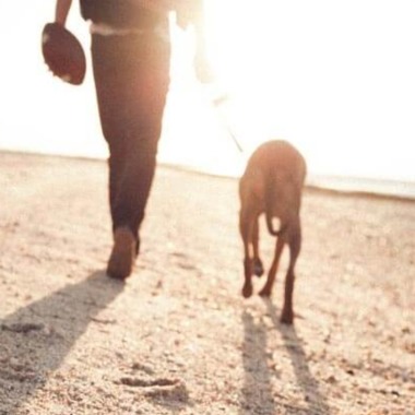 Cuidó, Quiero Y Paseo A Tu Amigo( Gato Y Perro)