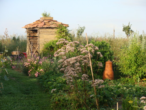 construction vernaculaire au potager.JPG