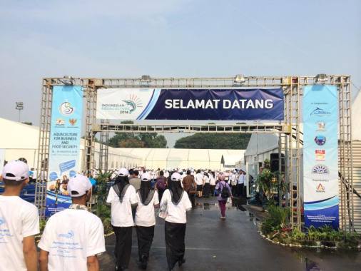 Jalan Sehat