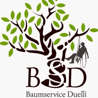 Bsd Baumservice Duelli