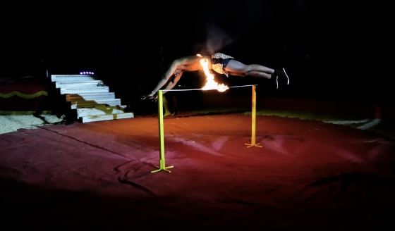 Circo Nando Orfe