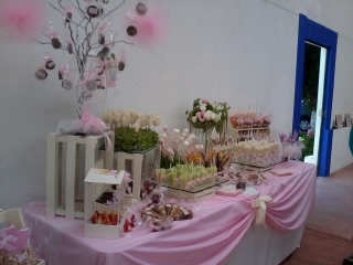 Mesas de postres para cualquier tipo de evento, decoración con personajes animados, temas o colores específicos.