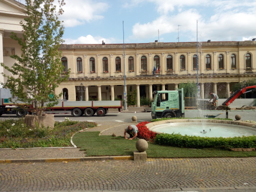 Allestimenti per vetrine ed eventi 