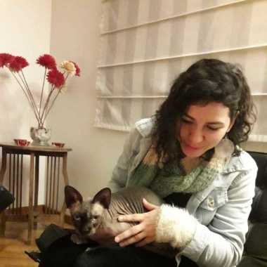 Paseo A Tu Perro  Con Amor Y Responsabilidad